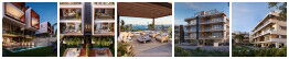 Askanis Group Gallery